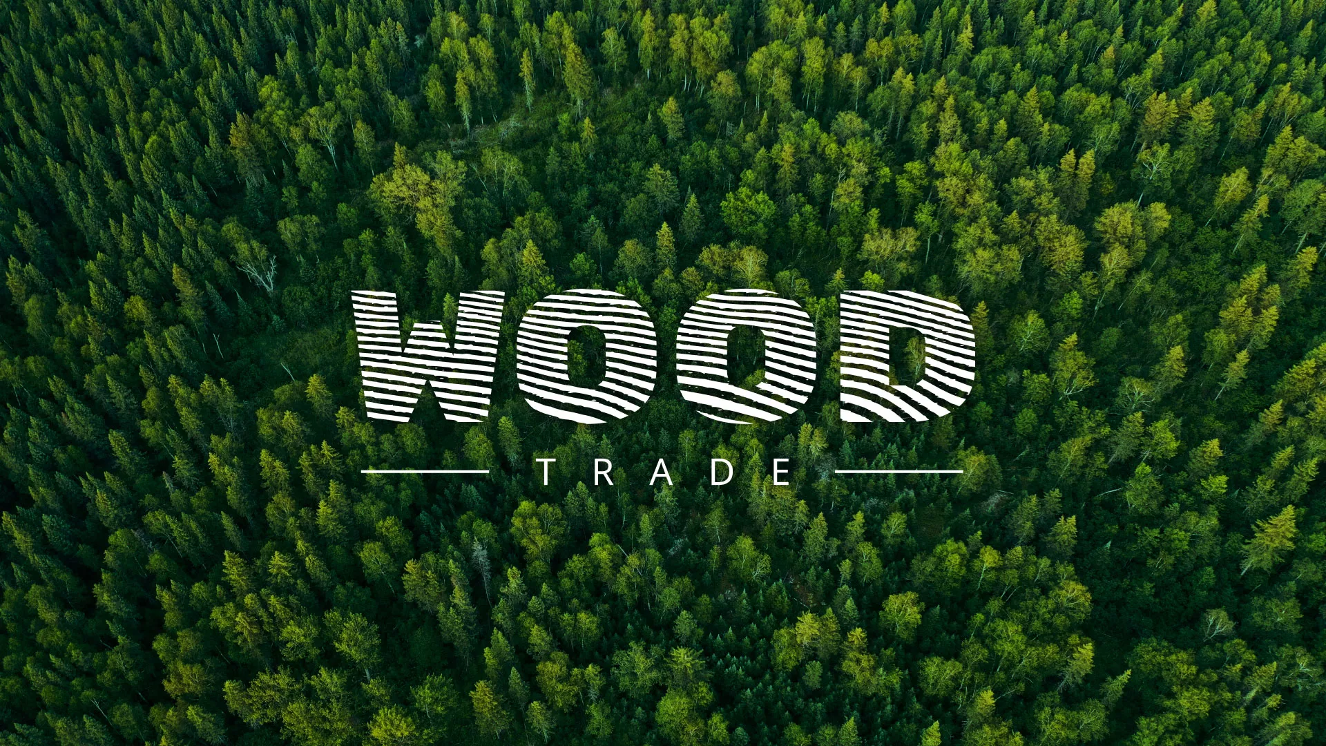 Разработка интернет-магазина компании «Wood Trade» в Енисейске